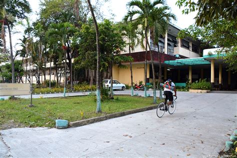 molave residence hall|Student Accommodation.